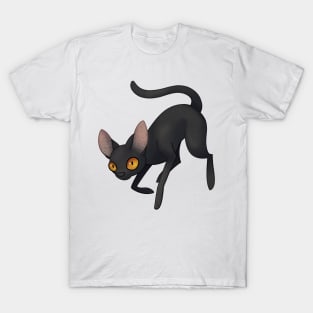 Cozy Bombay Cat T-Shirt